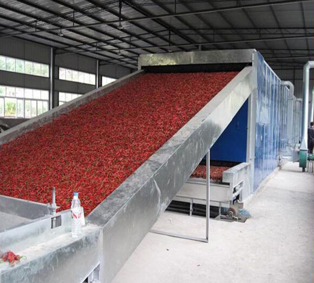 辣椒鏈條式網(wǎng)帶烘干機.jpg